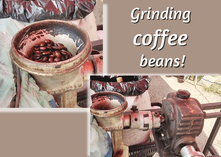 Grinding coffee beans!.png