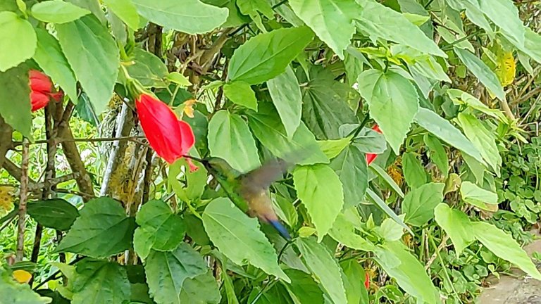 Picture Extractor-1668531657040_Snapseed.jpg