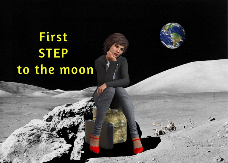 first step to the moon.png