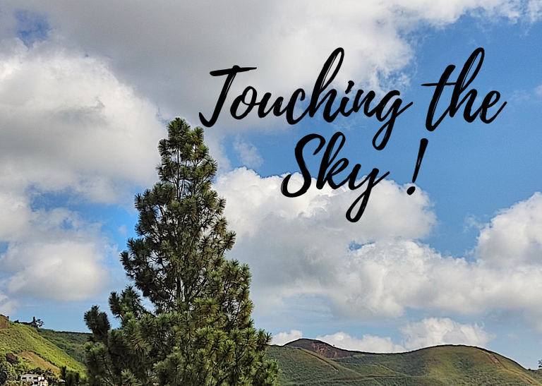 Touching the Sky !.png