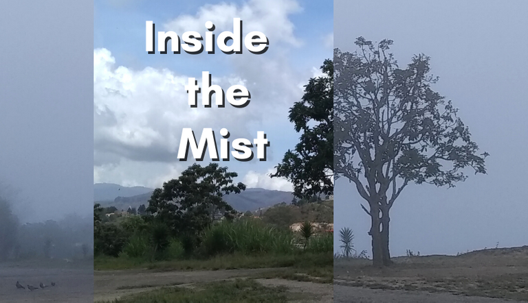 Inside the Mist (4).png