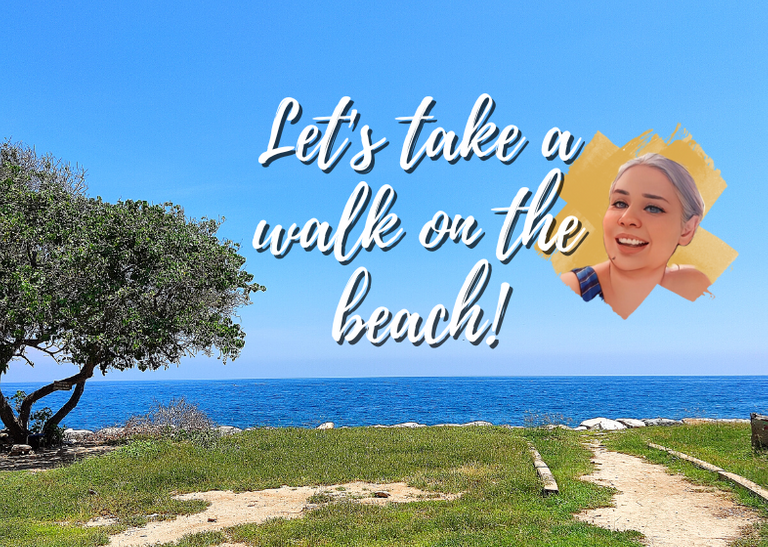 Let's take a walk on the beach!.png