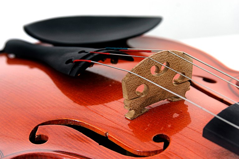 guitarmusicalinstrumentviolinviolinfamilystringinstrumentbowedstringinstrument1457483pxhere.com 1.jpg