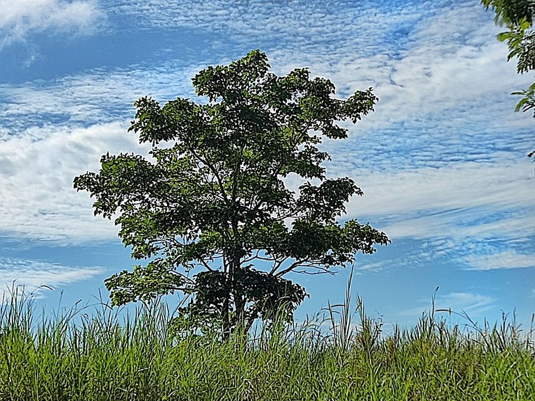 paseo montaña 12.jpg