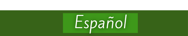 Español (1).png