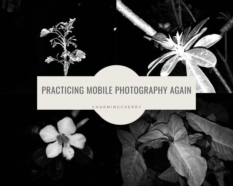 White Green Modern Hiking on Vacation Photo Collage.jpg