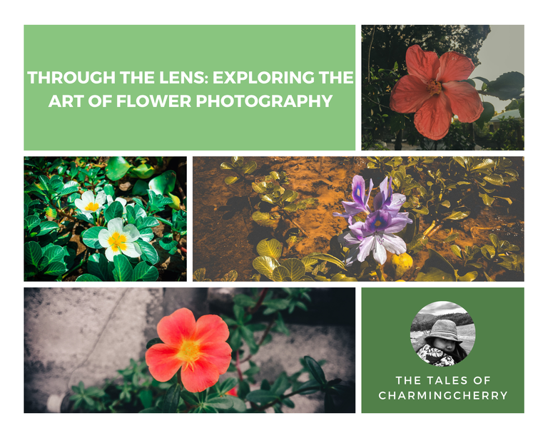 Blog Banner - charmingcherry.png