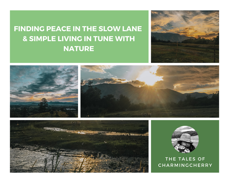 Blog Banner - charmingcherry (1).png