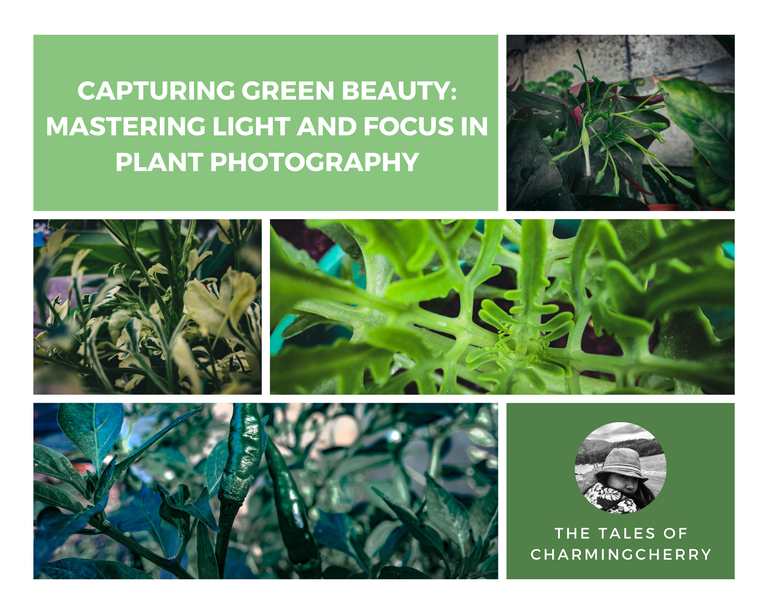 Blog Banner - charmingcherry.png