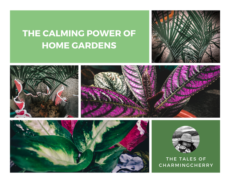 Blog Banner - charmingcherry.png