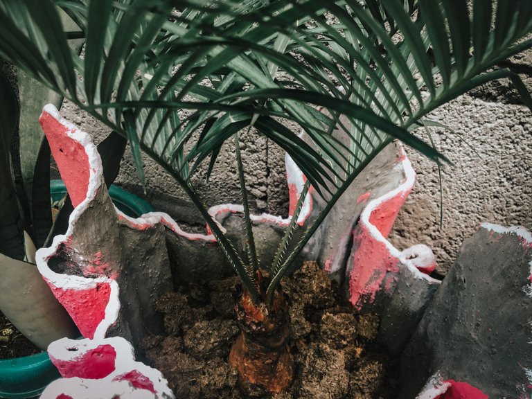 IMG_3112.jpeg