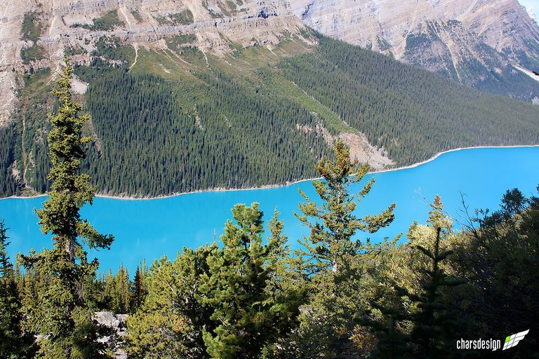 Peyto 8.jpg