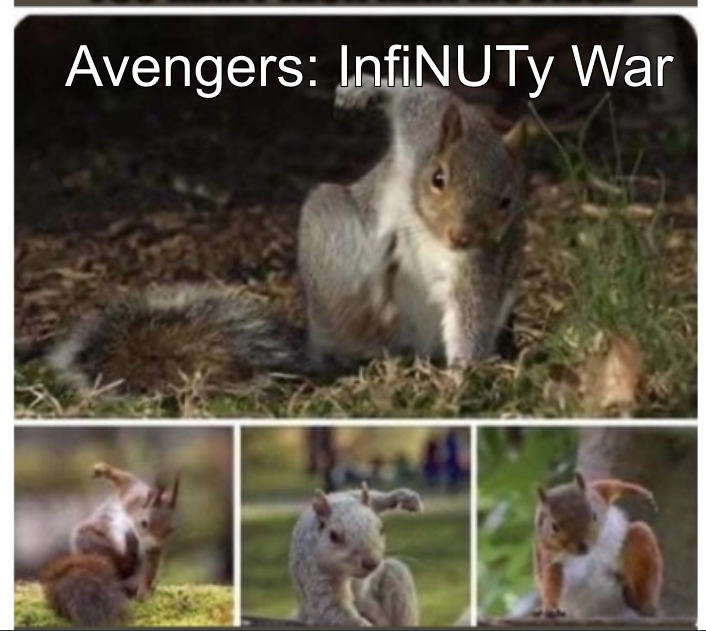Assemble Squirrel Squad