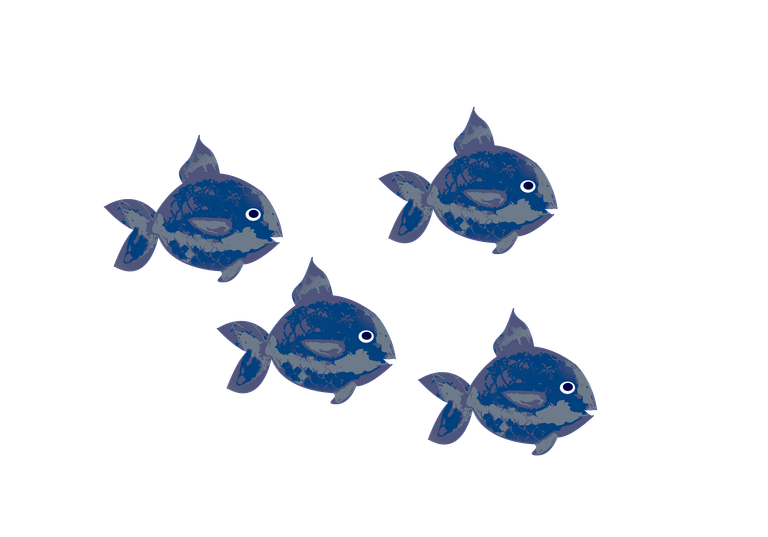 fish-2.png