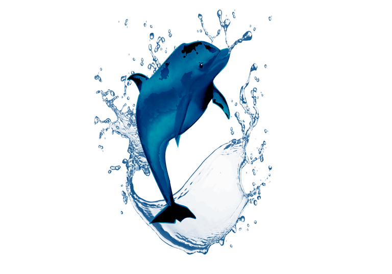 dolphin-1.png