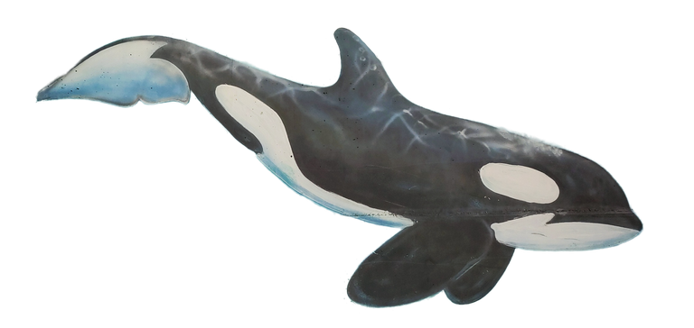 whale2.png