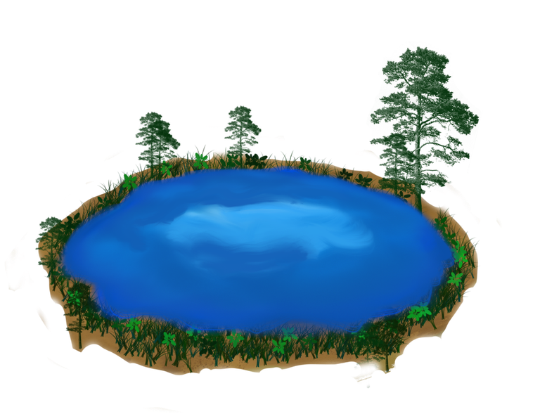 pond 2.png