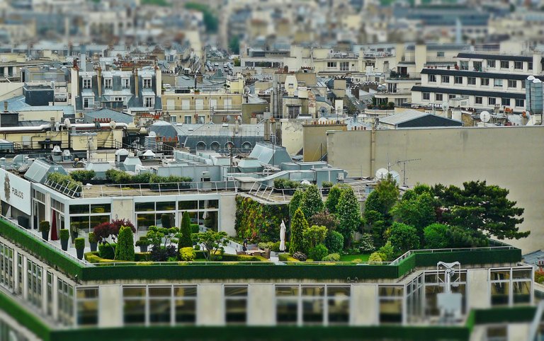 roofterrace1423897_1920.jpg