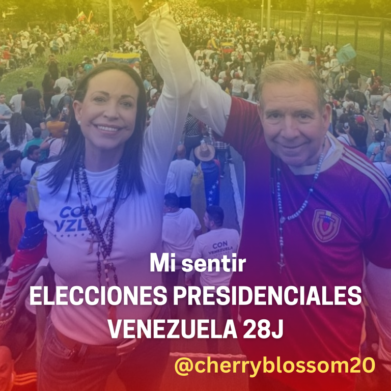 Mi sentir Elecciones Presidenciales en Venezuela del 28J.png