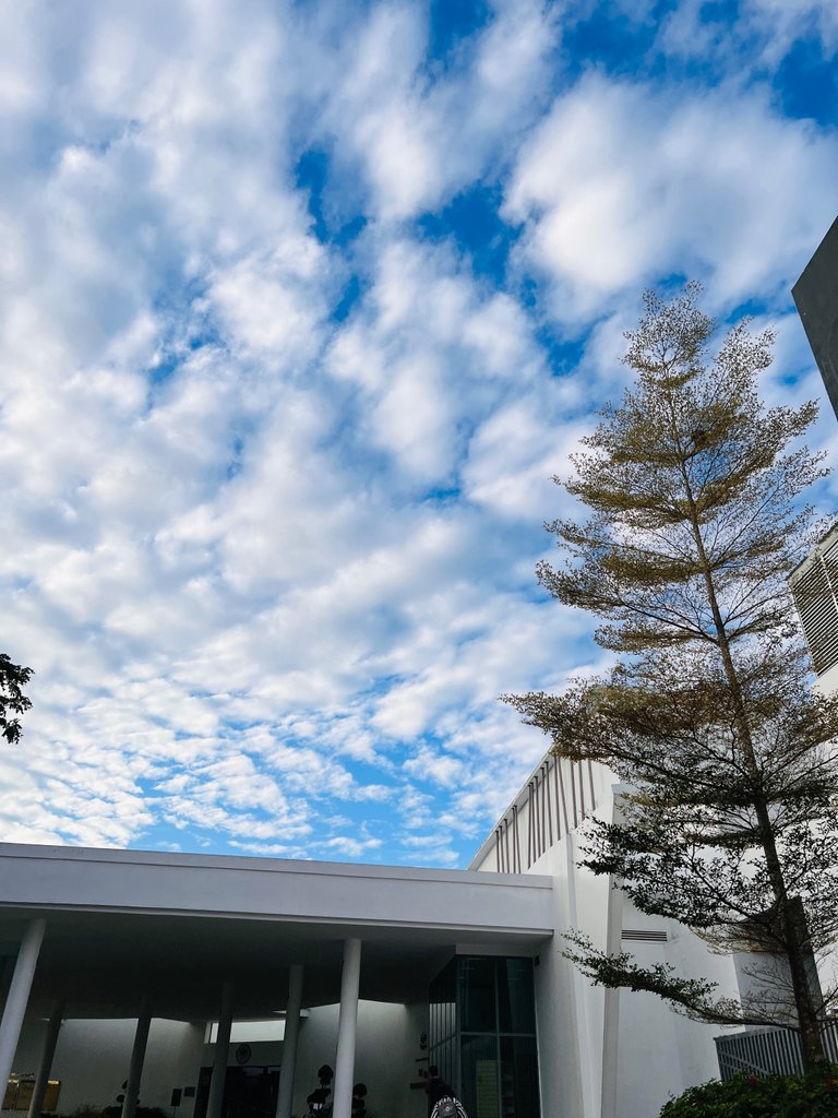 Cloud 4.jpg