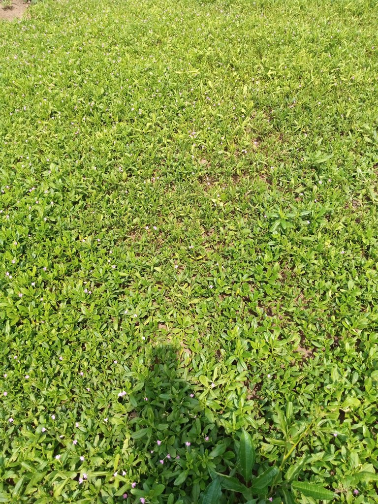 IMG_20221205_112359_227.jpg