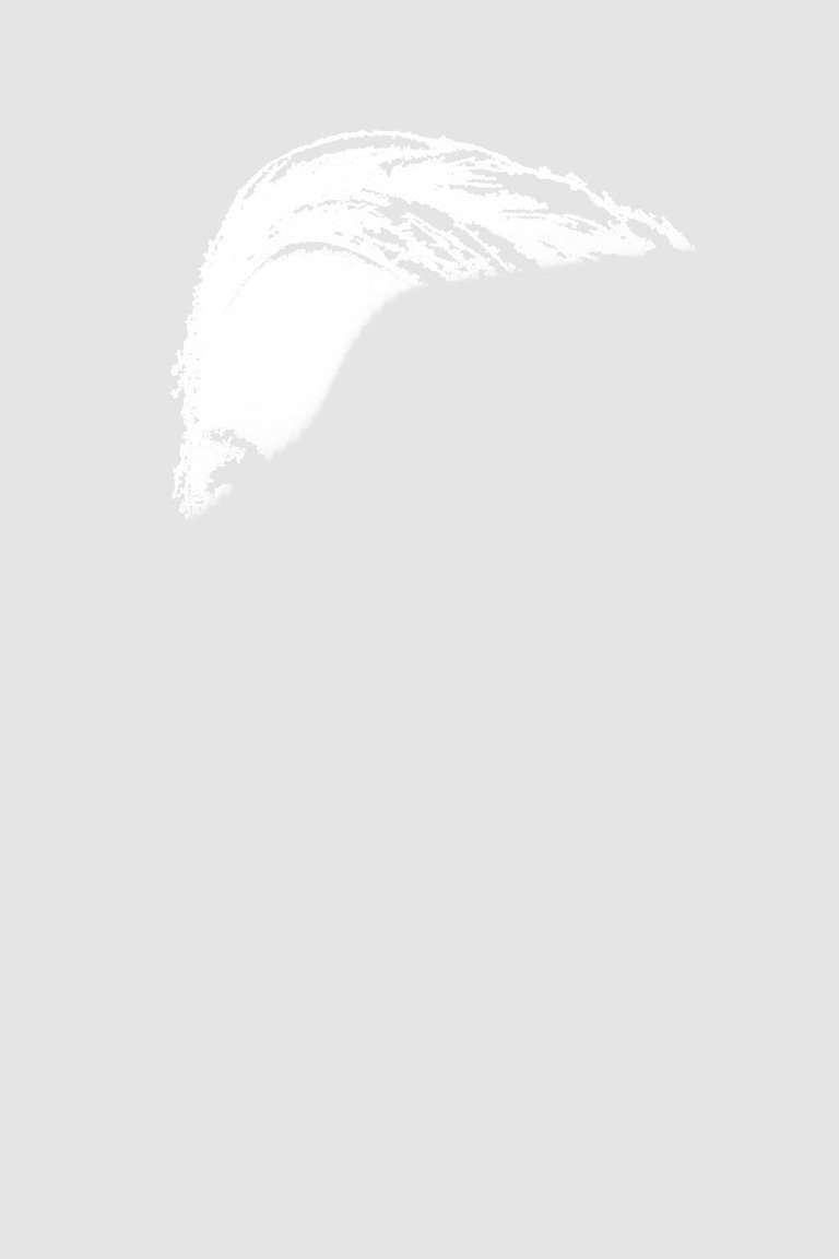 blank (1) (1).jpg