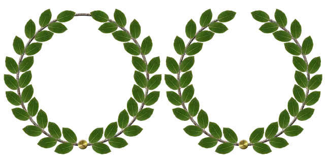 laurel-wreath-2604071_640.webp