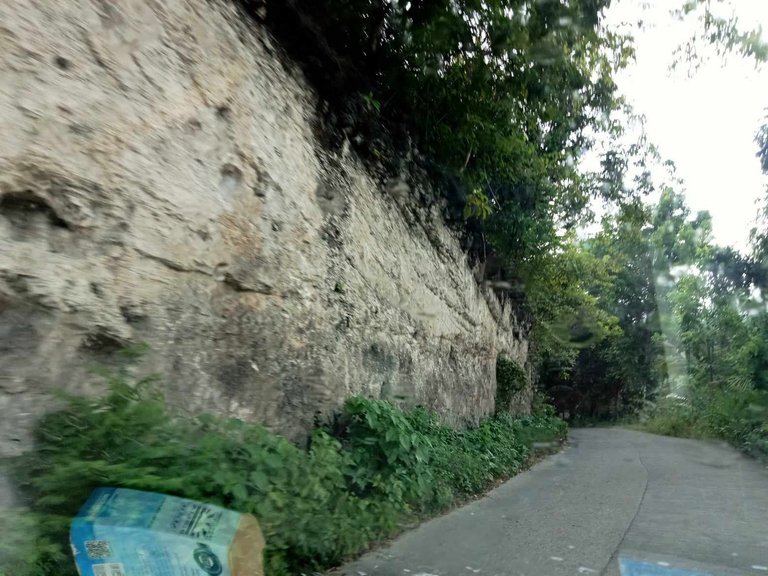 06.jpg