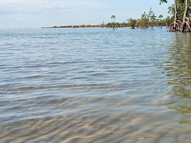IMG20231028075831.jpg