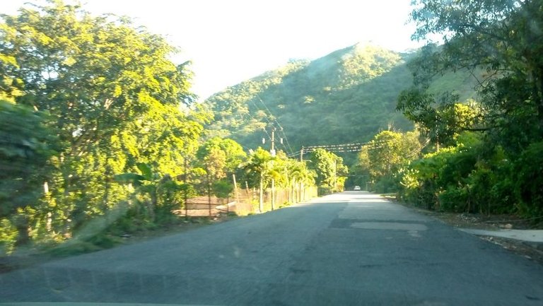 IMG_20231020_075901_680.jpg
