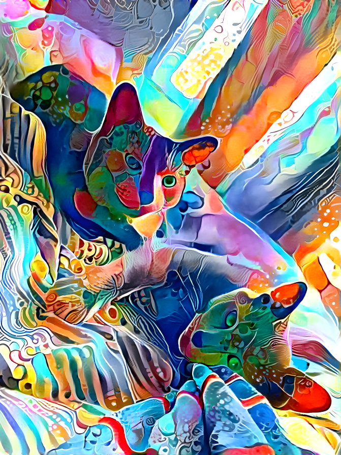 TRIPPYCATS.EXE