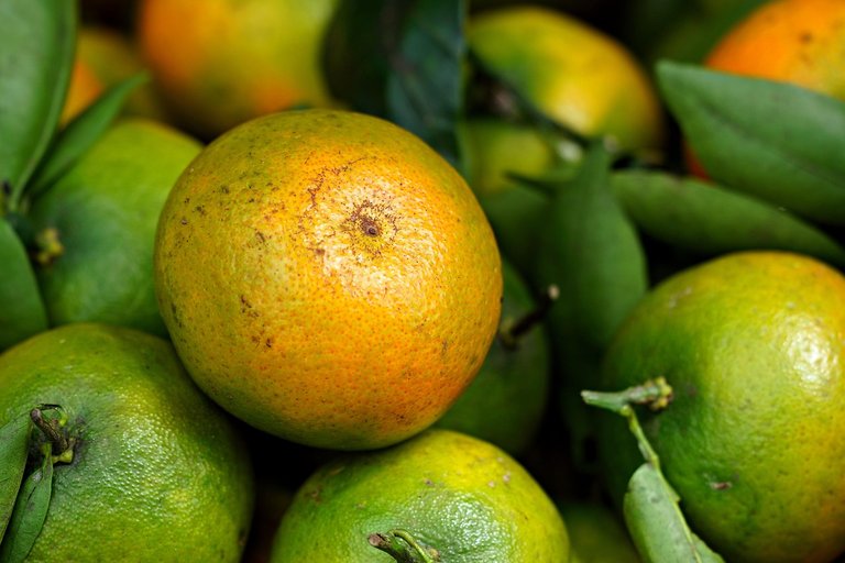 tangerine-8886641_1280.jpg