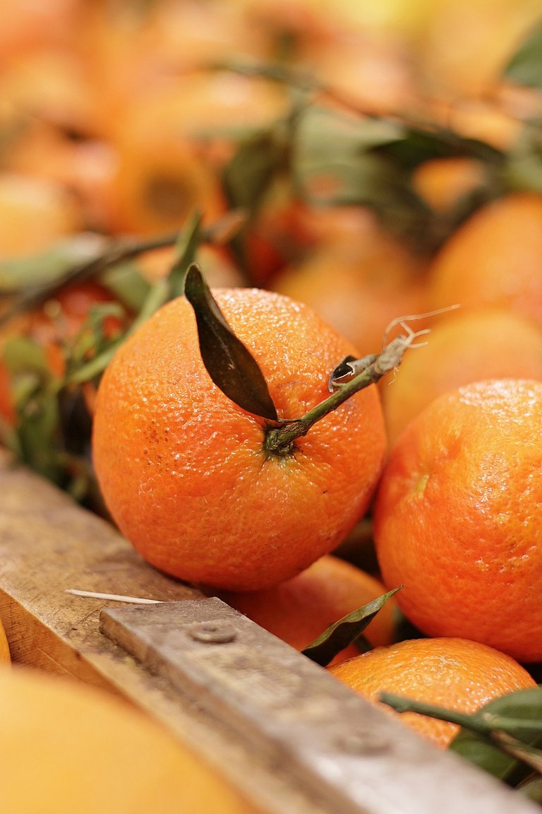 fruit-4637398_1280.jpg