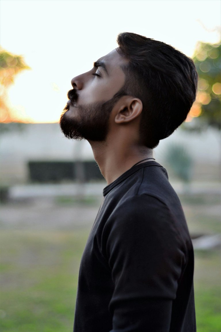 pexels-khalifa-waleed-251120-761115.jpg