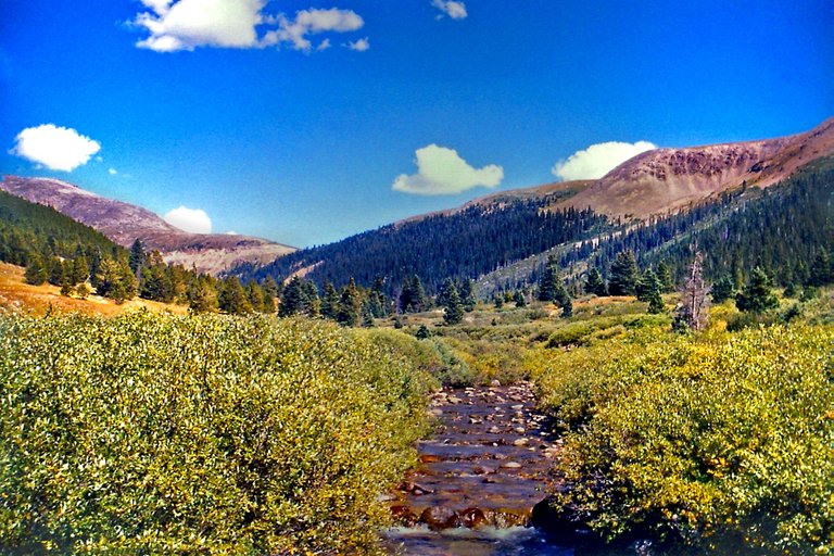 LOOKING UP THROUGH THE VALLEY FROM INDEPENDANCE GHOSTY TOWN, COLORADO-98- #1.png