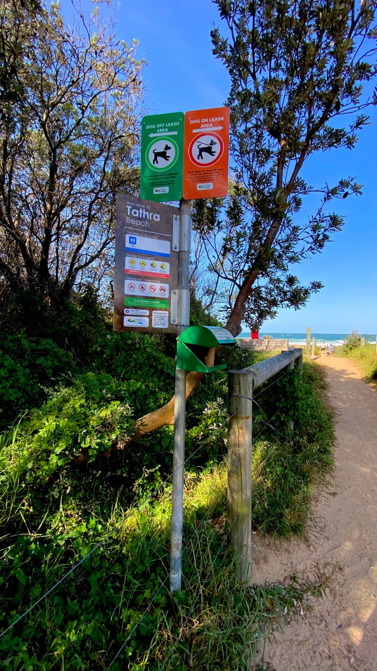 TATHRA BEACH BEACH3.png