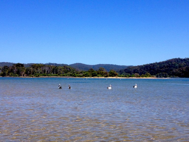 TATHRA BEACH BEACH15.png