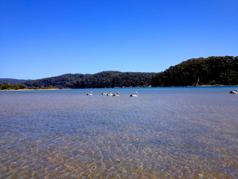 TATHRA BEACH BEACH14.png