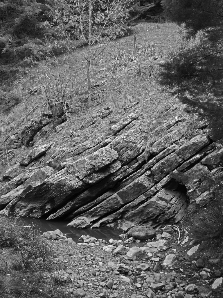 ROCK FACE BNW.png