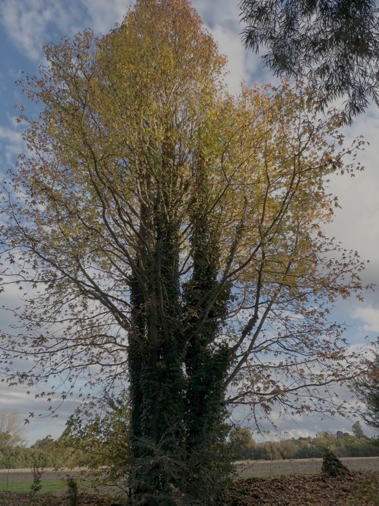 8.png