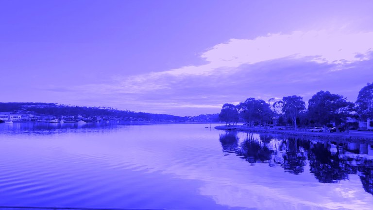 lake 6.jpg