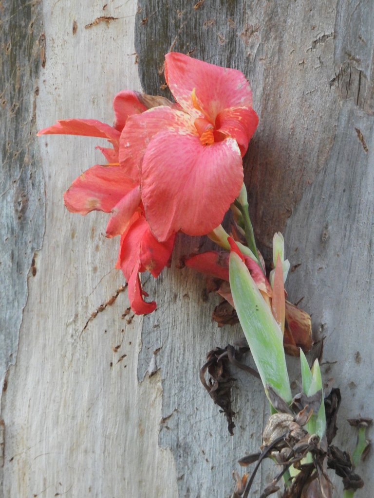 DSCN2794.JPG