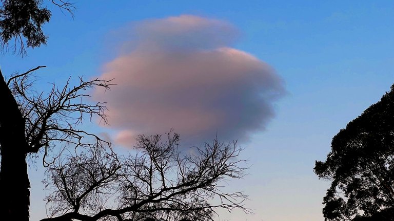 ICECREAM CLOUD #2.jpg