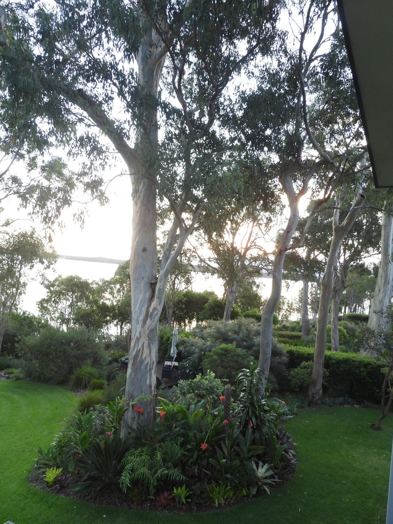 DSCN2051.JPG