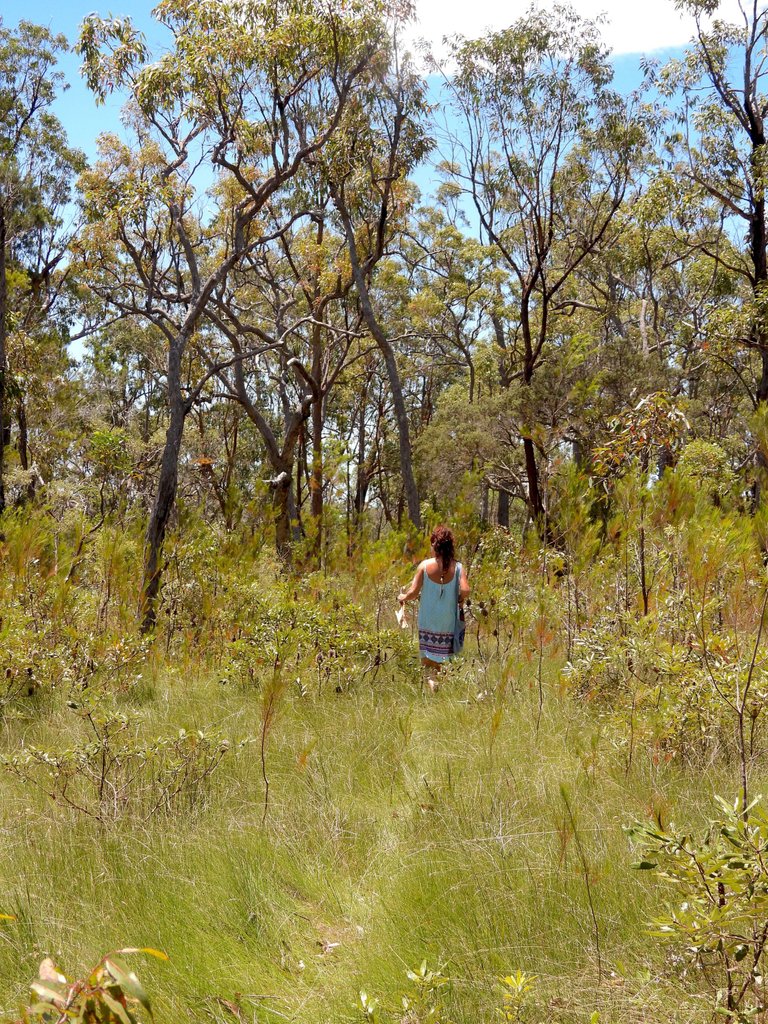 SARAH WALKING IN FRONT.JPG