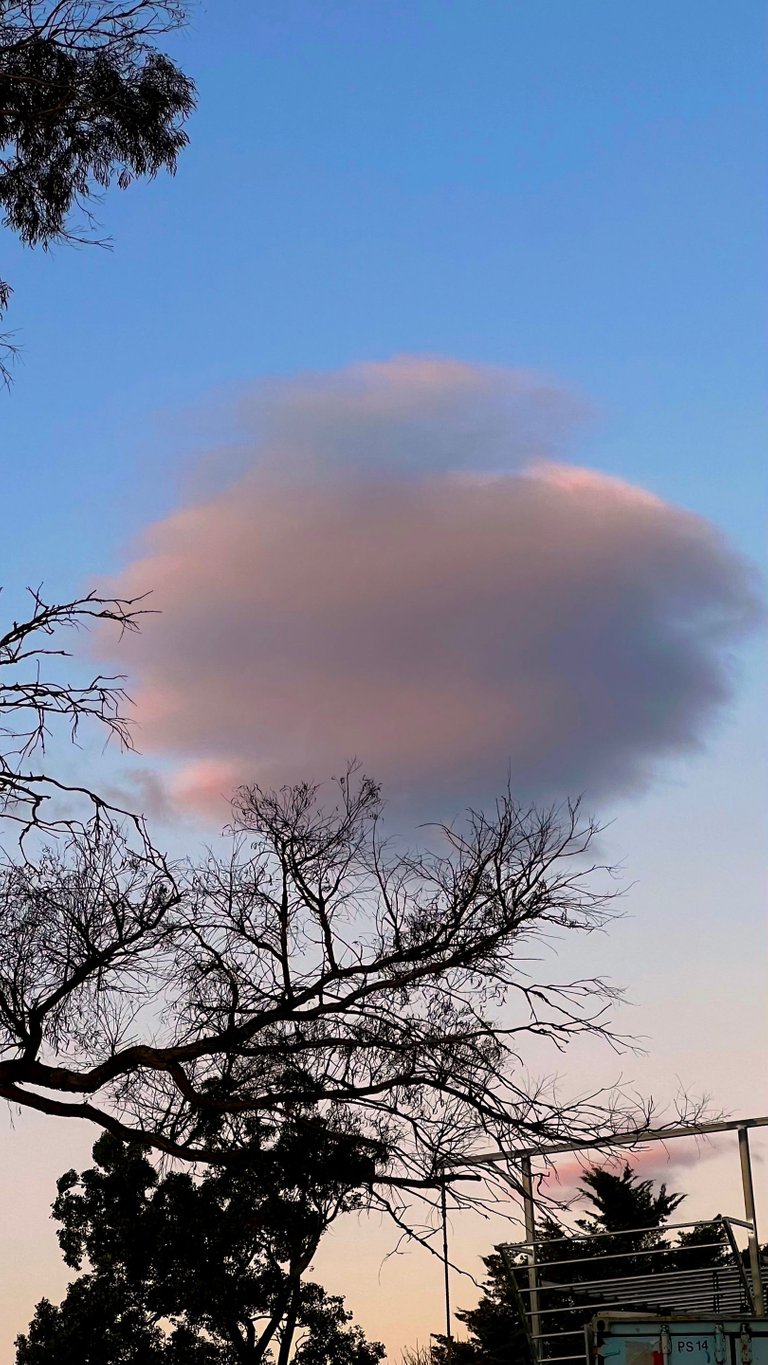 ICECREAM CLOUD.jpg