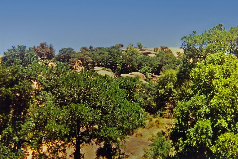 ENCHANTED ROCK TEXAS #6.png