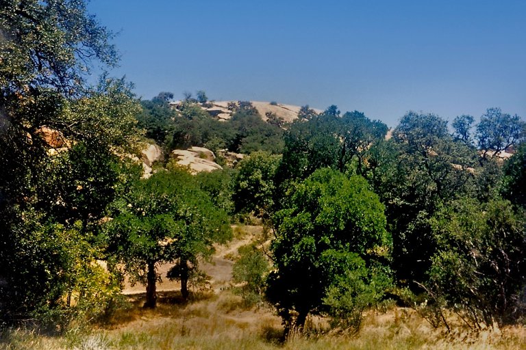 ENCHANTED ROCK TEXAS #4.png