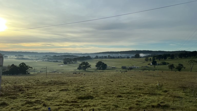 PAMBULA FLAT-3.png