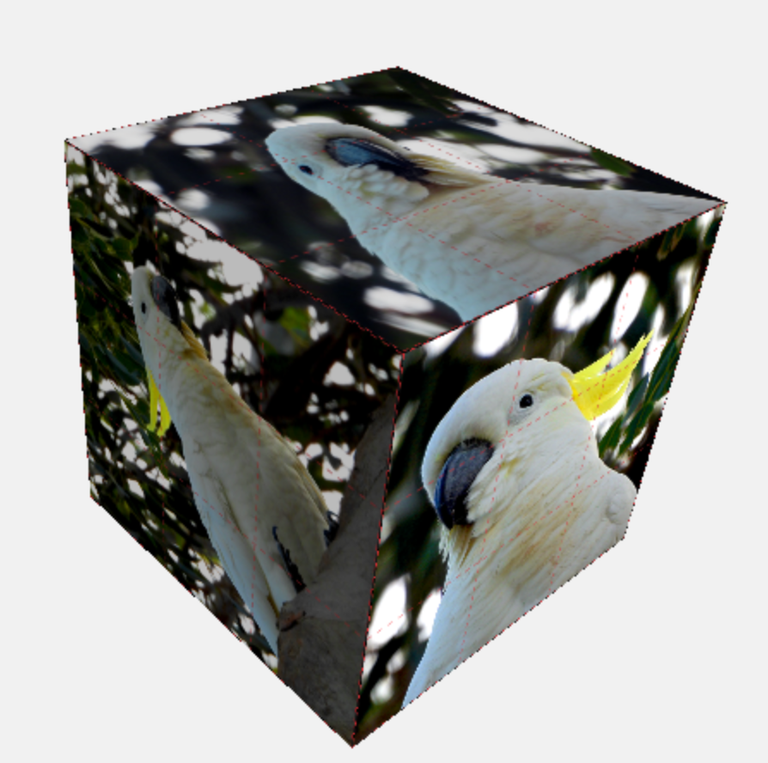 cocky1.png